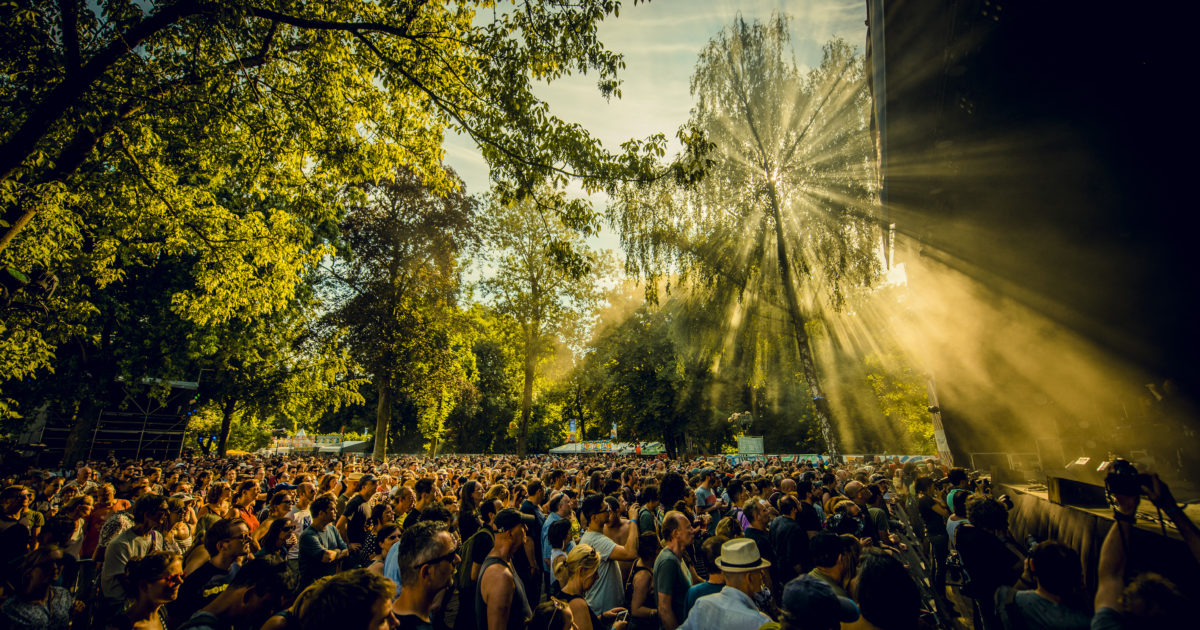 Jong Volk Achter de schermen bij Cactusfestival het belang van…